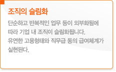 ������ ����ȭ